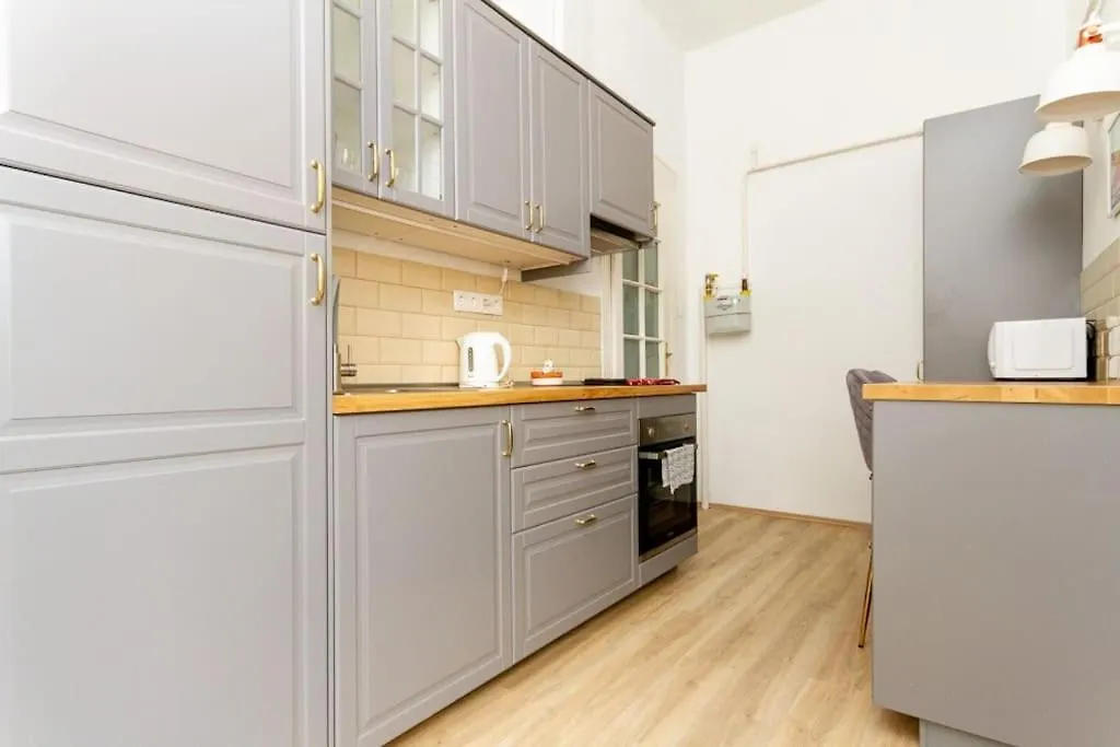 Apartment Historic Charm On Dohany Street By Newave Budapest